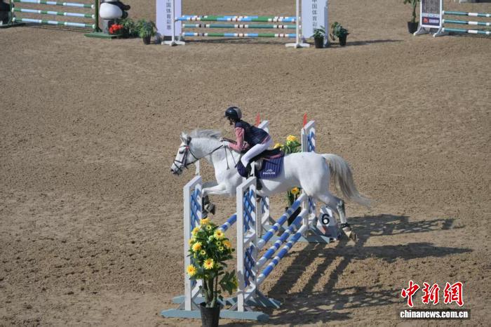 长三角马术联赛总决赛在杭州圆满落幕 赛事带动